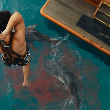 Shot of man being lowered into shark infested sea from a boat crane